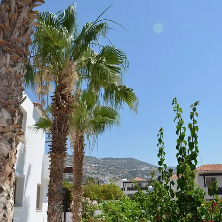 Βίλα Paradise 14-peyia *
